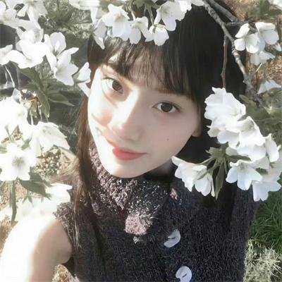 风起云舒