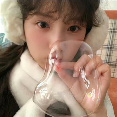 狐狸之声国语